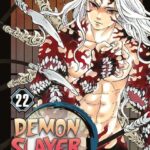 DEMON SLAYER 22