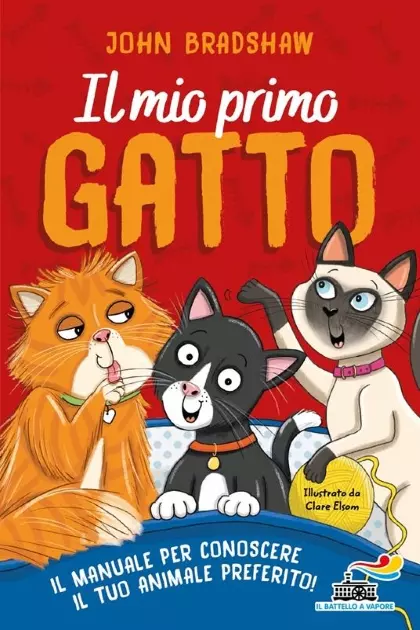 IL MIO PRIMO GATTO