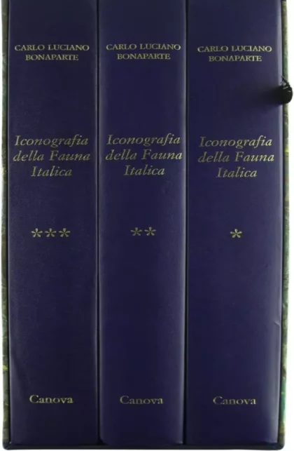 Carlo Luciano Bonaparte. Iconografia della fauna italica per le quattro classi degli Animali Vertebrati - canova edizioni