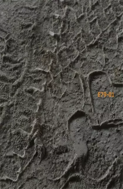 E79-01 - canova edizioni
